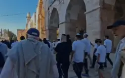 عشية 