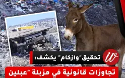تحقيق