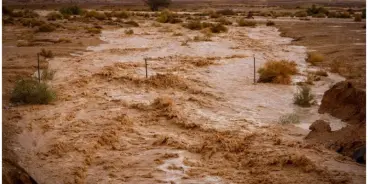 الأرصاد تحذر: أمطار وعواصف رعدية وإنذار جدي من سيول في البحر الميت والجنوب اليوم