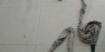 تل السبع: تخليص شخص ربطوه بالسلاسل داخل منزل