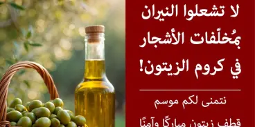 مع انطلاق موسم قطف الزيتون.. سلطة الإطفاء والإنقاذ تحذّر من إشعال النيران وغرامات بآلاف...