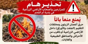بلدية أم الفحم: موسم قطف الزيتون تراثنا وهويتنا.. وحماية أشجار الزيتون مسؤوليتنا جميعًا