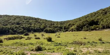 حالة الطقس: أجواء حارة نسبيا حتى نهاية الأسبوع