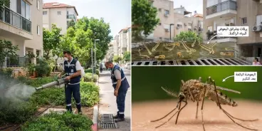 وزارة الصحة للسلطات المحلية: جففوا المياه الراكدة