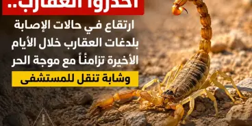 احذروا.. ارتفاع في حالات الإصابة بلدغات العقارب خلال الأيام الأخيرة تزامنًا مع موجة...