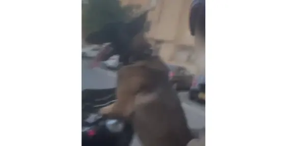 بسبب هذا الفيديو , إعتقال شاب من القدس 