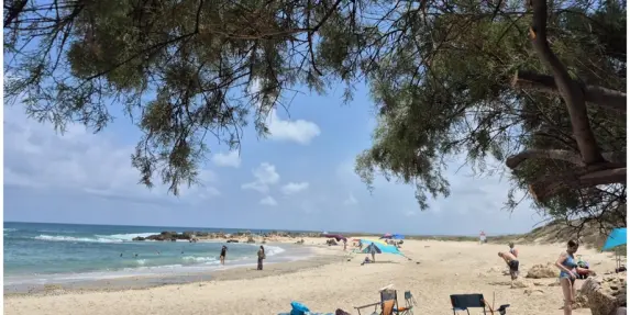 اليوم طقس حار وجاف إحذروا أشعة الشمس 