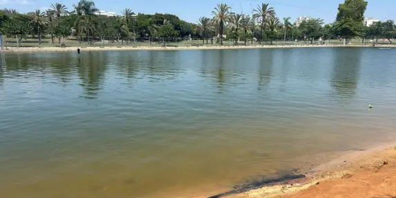 تل أبيب: تواصل البحث عن طفل دخل بحيرة في منتزه الجنوب