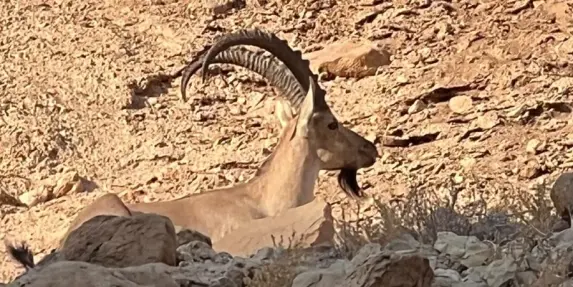 الأرصاد الجوية: ارتفاع طفيف على درجات الحرارة وفرص لأمطار محلية 