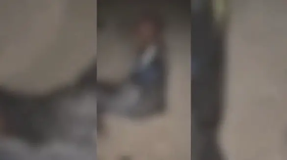 وين راحت الرحمة؟ مشهد مؤلم من النقب يوثّق اعتداءً قاسيًا