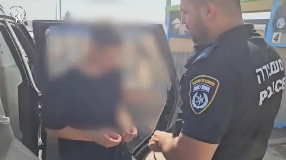 اعتقال شاب بشبهة تعذيب قطة وضربها بالأرض عدة مرات أمام أصدقائه