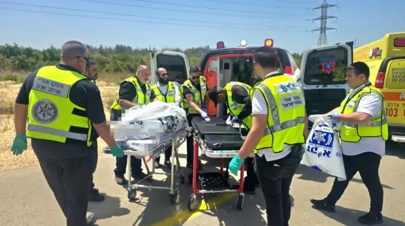مصرع  120 عربيًا في حوادث طرق منذ بداية العام – رقم قياسي سلبي خلال العقد الأخير